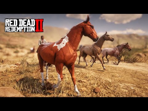 BANDIT HORSES - Regrouping the horses and taking them to the farm - John Marston's Farm