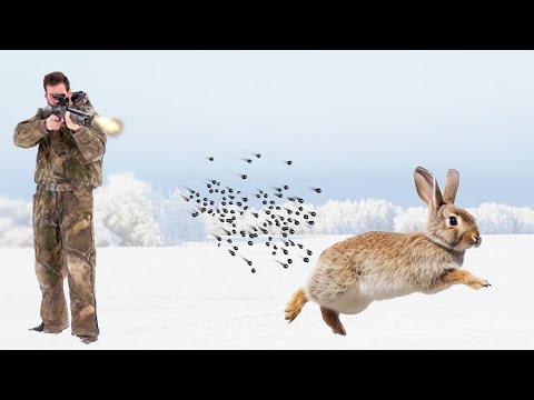 Rabbit Hunting with 20 Gauge AIR SHOTGUN