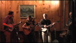 Bon Aqua Blues - Hot Mustard