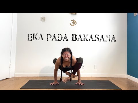 Beginner Yoga Arm Balance (Eka Pada Bakasana) With Shana Meyerson YOGAthletica