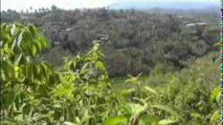 Download lagu Batanghari Sembilan - Gitar Tunggal - Hindu Bejulat - cipt Zainal - voc Amran Cs - guitar Amran Cs mp3