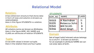 class 11 IP | DBMS Relational Model | Degree | Cardinality | Relation | Attributes | Tuple |