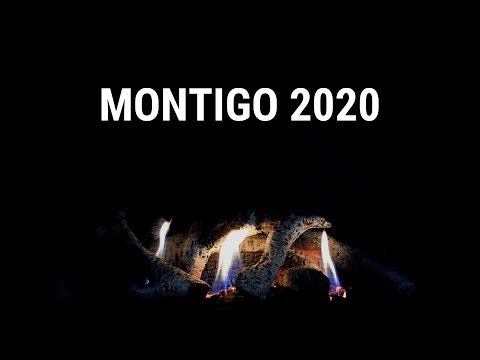 Montigo Virtual Tradeshow 2020