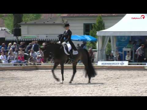 Isabel Freese | Fürst Levantino | Nürnberger Burg-Pokal | Pferdefestival Redefin 2017
