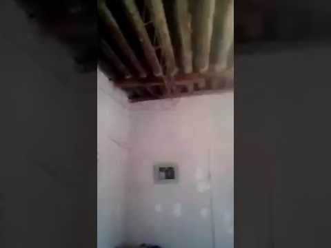 El 223.  Contra la realidad no se puede...