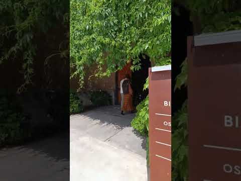 visita y degustación en Vinorum y susana balbo en lujan de cuyo. Mendoza Wine Transfers