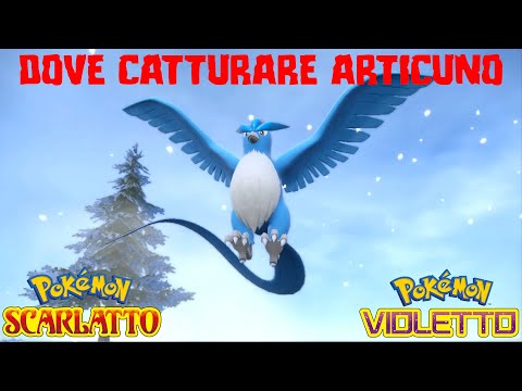 Tutorial dove catturare il leggendario ARTICUNO - Pokemon Scarlatto e Violetto DLC