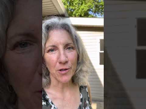 Pruning Tomatoes on my Tower Garden