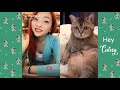 Tiktok Cat 🐱 Cutest And Funniest CAT 🐱 Funny Animal Compilation 2019 | Hey Cutesy #4