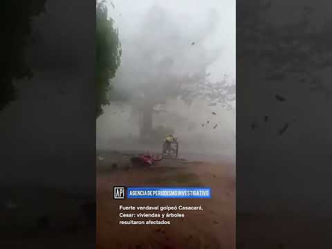 Fuerte vendaval golpeó Casacará, Cesar: viviendas y árboles resultaron afectados