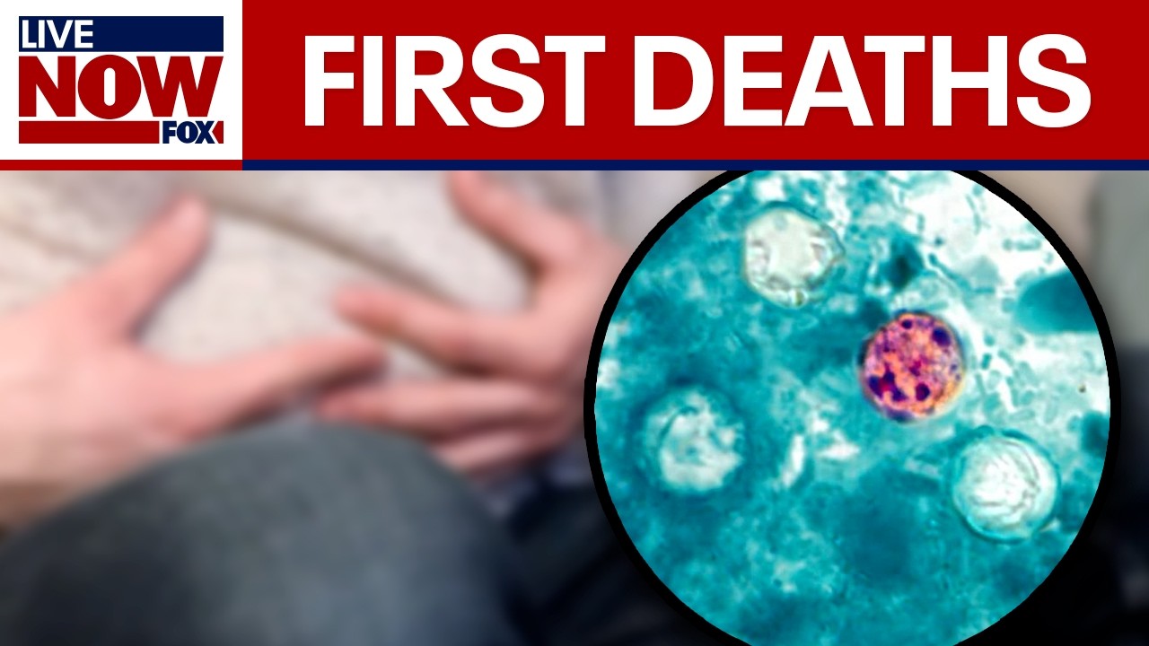 Cyclospora: First 2 deaths linked to outbreak reported in Michigan