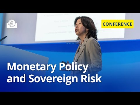 Monetary Policy and Sovereign Risk in Emerging Economies | 5th WE_ARE_IN Conference 2025