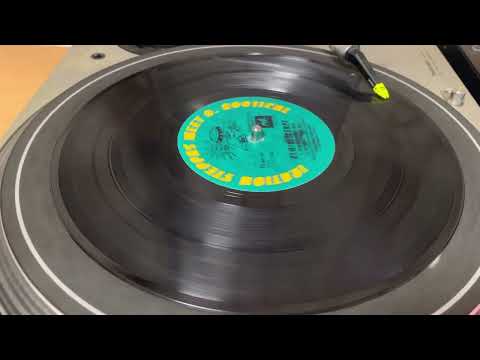 Vinyl REMINISCENCE DUB / IRATION STEPPAS MEET D. ROOTICAL