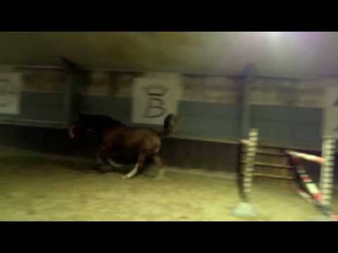 Lisley 25 11 2013   2