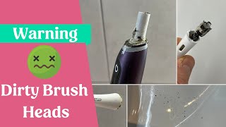 Mold in Oral-B brush heads