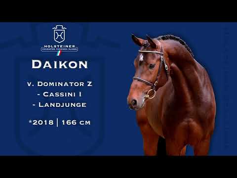 Holsteiner Verbandshengste 2023 | Daikon