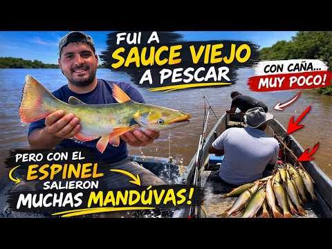 ¡EXPLOTÓ el espinel en Sauce Viejo! 🐟 Mandúvas a lo loco 🔥