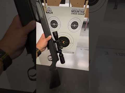 NRA Gun of the Week: Savage Arms B17 FV Rifle