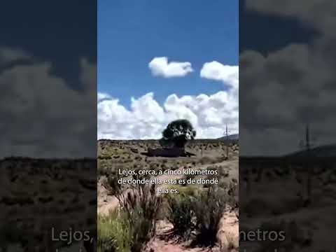 “VIVIMOS MOMENTOS DE DESESPERACIÓN” RELATÓ ALEJANDRA, LA TÍA DE ELIÁN