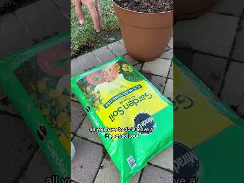 A Simple HACK for FREE Earthworms! #earthworms #worms