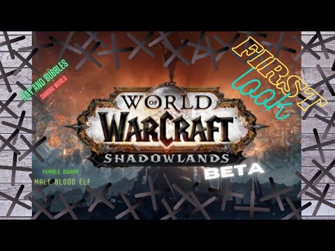 Shadowlands Beta - Episode 1 - Character Customization - Female Dwarf and Male Blood Elf