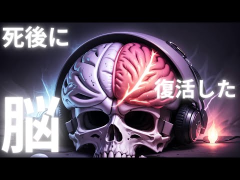 死後: 研究者が人間の細胞を生き返らせる
