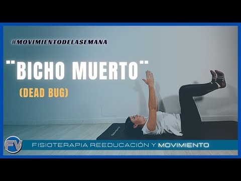 Dead bug