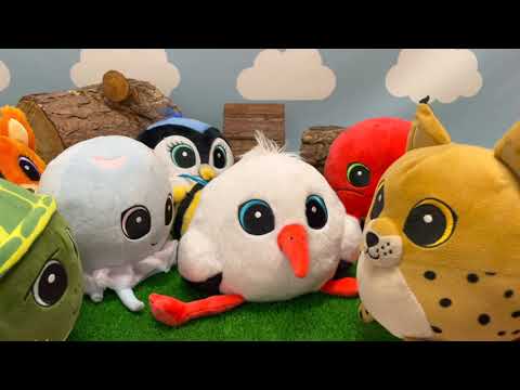 GANG SWOJAKÓW  🐾 Swojaki idą do szkoły