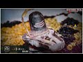 Tere Naam Ki Jyot Ne Sara Har Liya Mahadev WhatsApp Status