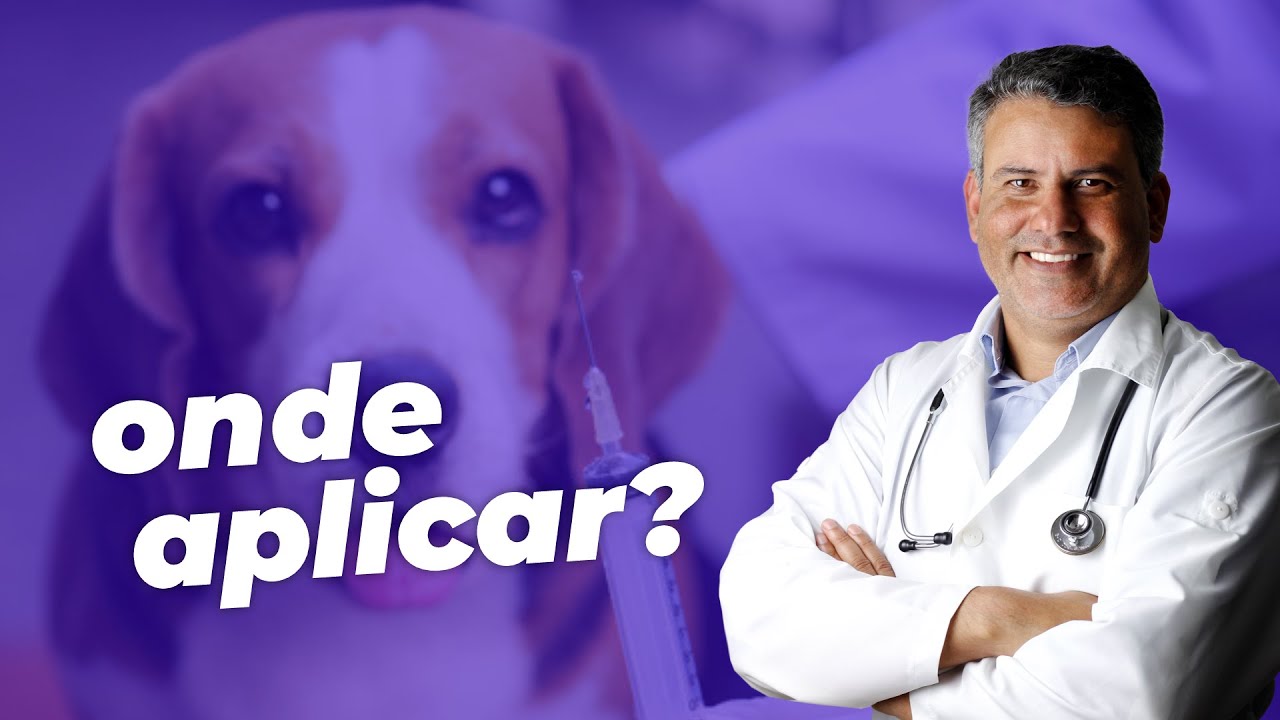 QUAL O MELHOR LUGAR PARA APLICAR VACINA EM UM PET? - @auxvets