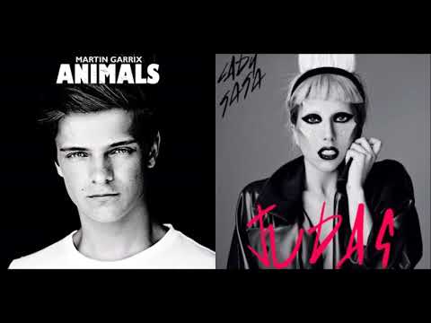 Lady Gaga x Martin Garrix - Judas Animals (Mashup)