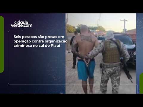 Seis pessoas são presas em operação contra organização criminosa no sul do Piauí