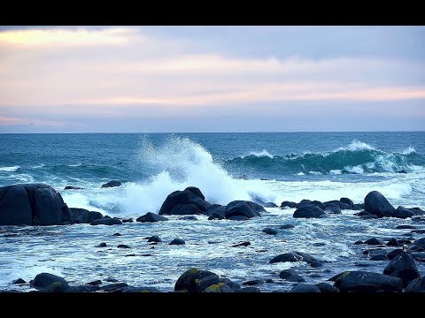 Prevent Flooding with This Three-Part "Seacock System" Check