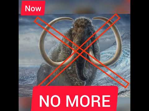 Extinct animals Woolly Mammoth Then vs Now part - 1 #shorts
