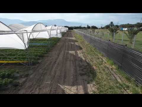 Thumbnail for 10 Acres Hoop-Houses 2026