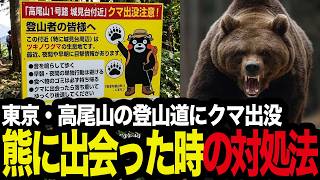 【雑談】「それやったら確実にクマに◯されます」東京・高尾山の登山道にクマが出没、熊に出会った時の対処法を考察