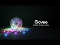 Govee LED Stripe Smart Wi-Fi + Bluetooth, 10 m, RGBIC