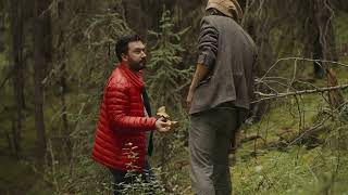 Mushroom Foraging with Chefs Darren MacLean + Aaron Bludorn in Alberta, Canada