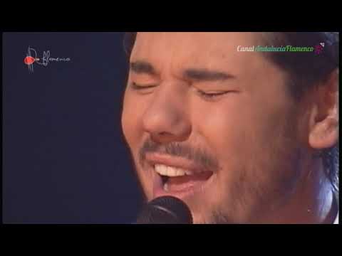 Tientos y Tangos. Miguel Poveda. 2005