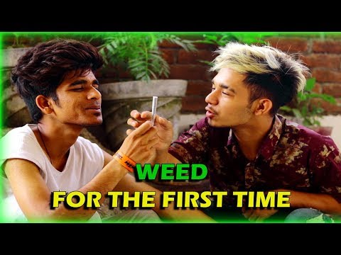Harry Chand Weed Lover