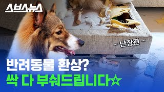 유튜브 썸네일