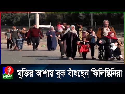 ১৪ হাজারের বেশি ফিলিস্তিনিকে হ/ত্যার পর যুদ্ধবিরতিতে সম্মত ইসরায়েল