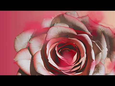 Christof Hunte - All My Life (Visualizer)