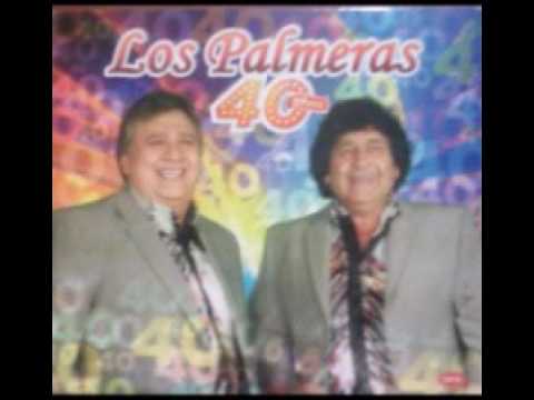 Los palmeras-noche con arte