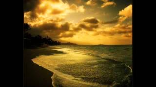 Nils - Shine Your Light On Me.flv