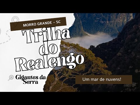 Trilha do Realengo - 12/jul.25 - Morro Grande, SC.