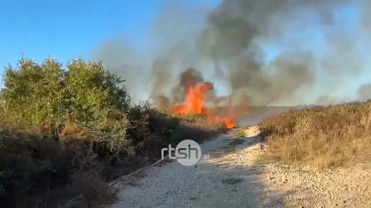Zjarr i fuqishëm në kodrat e Pojanit, flakët përfshijnë ullishte e shkurre pranë Parkut Arkeologjik të Apolonisë, kërkohet ndërhyrje nga ajri