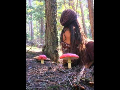 malice in wonderland   between worlds