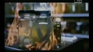 Chris Cornell - Cant Change Me Music Video