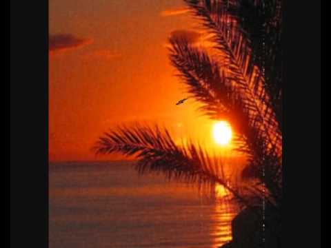 Phunktastike - End of love